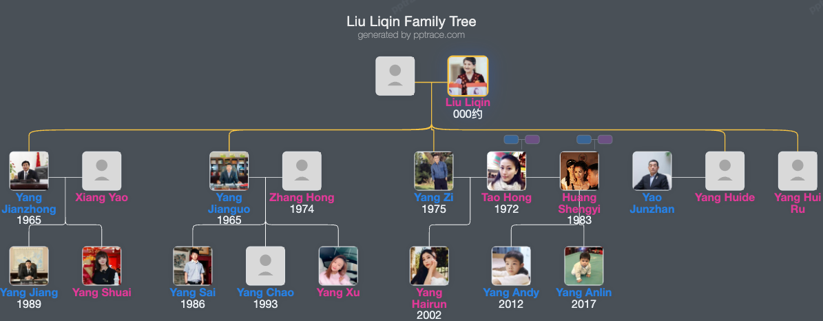 Liu Liqin family tree overview