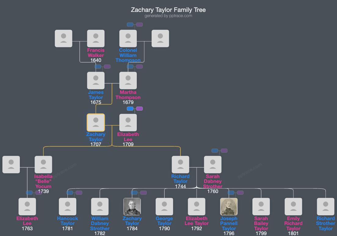 Zachary Taylor family tree overview