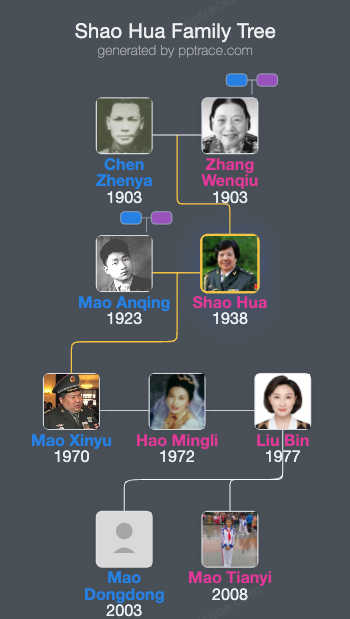Shao Hua family tree overview