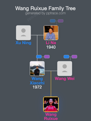Wang Ruixue family tree overview
