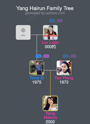 Yang Hairun family tree overview