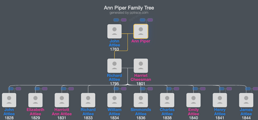 Ann Piper family tree overview