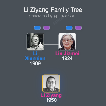 Li Ziyang family tree overview