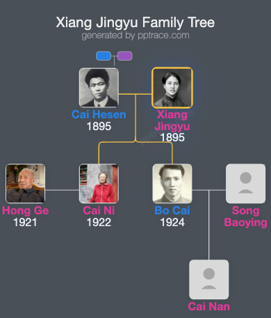Xiang Jingyu family tree overview