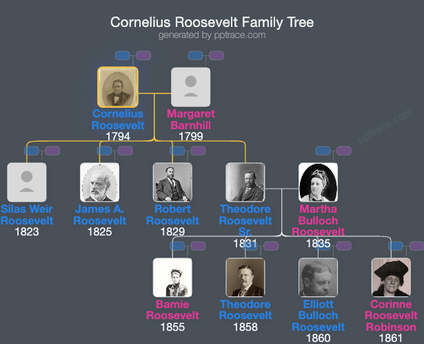Cornelius Roosevelt family tree overview