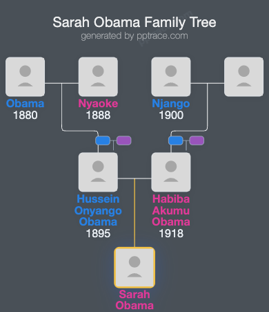Sarah Obama family tree overview
