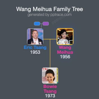Wang Meihua family tree overview