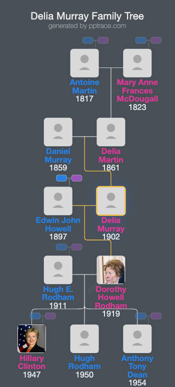 Delia Murray family tree overview