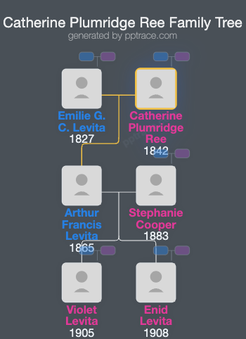 Catherine Plumridge Ree family tree overview