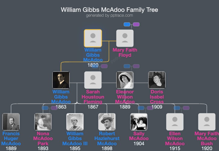 William Gibbs McAdoo family tree overview