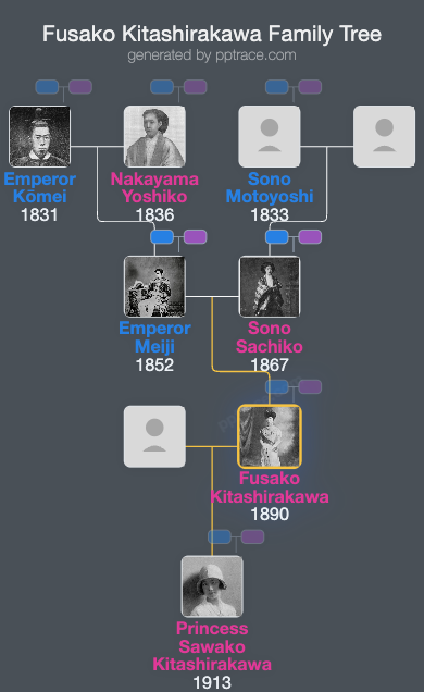 Fusako Kitashirakawa family tree overview