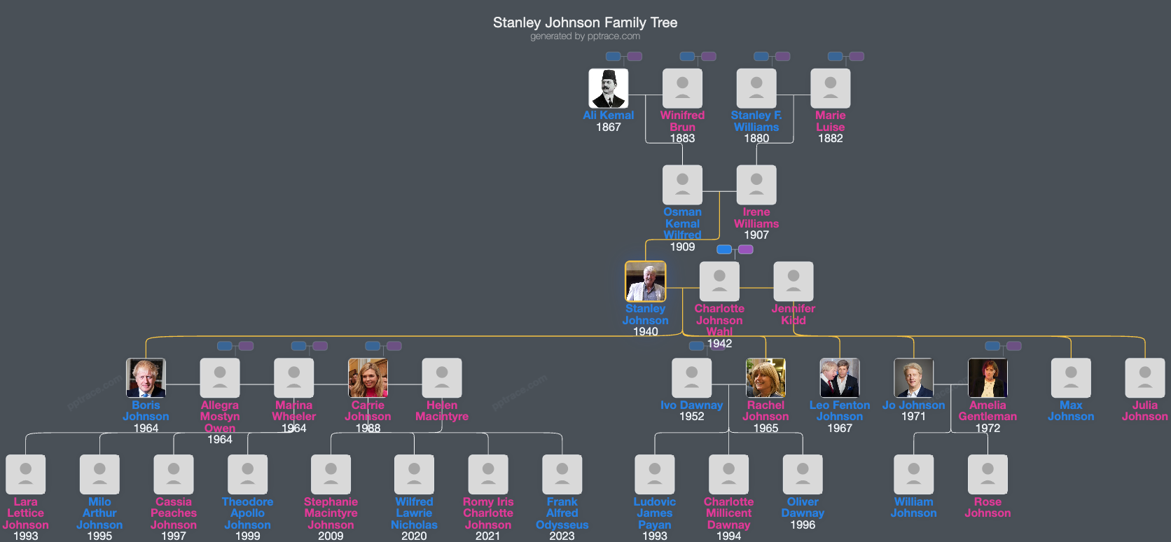 Stanley Johnson family tree overview