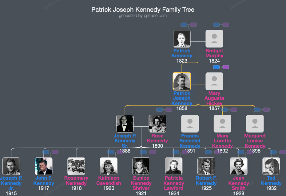 Patrick Joseph Kennedy family tree overview