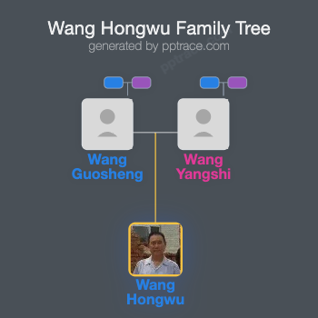 Wang Hongwu family tree overview