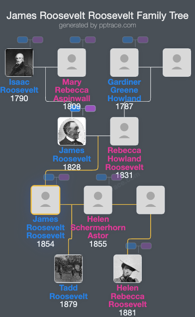 James Roosevelt Roosevelt family tree overview