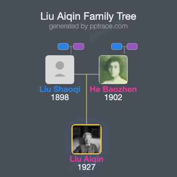 Liu Aiqin family tree overview