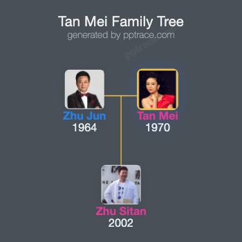 Tan Mei family tree overview