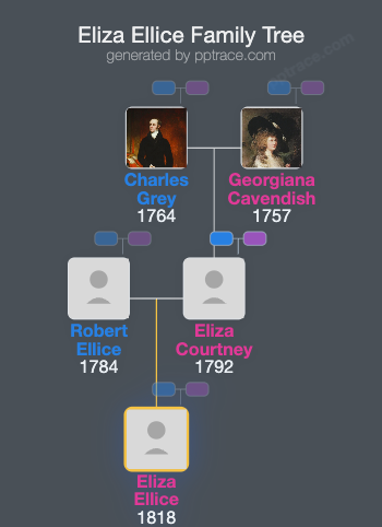 Eliza Ellice family tree overview