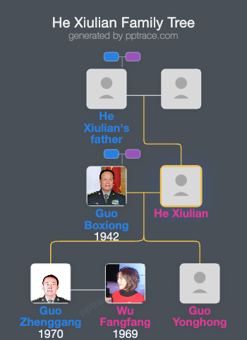 He Xiulian family tree overview