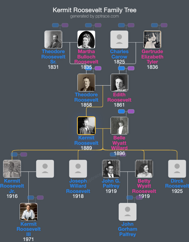 Kermit Roosevelt family tree overview