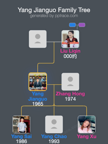 Yang Jianguo family tree overview