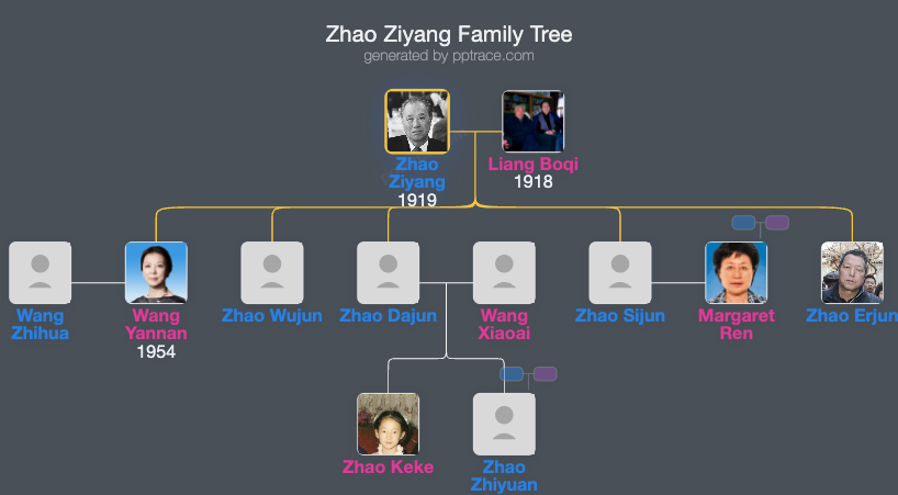 Zhao Ziyang family tree overview