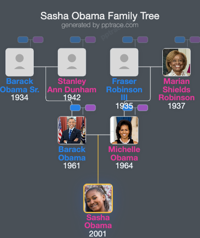Sasha Obama family tree overview