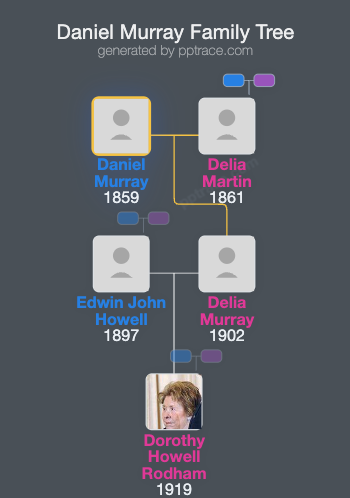 Daniel Murray family tree overview