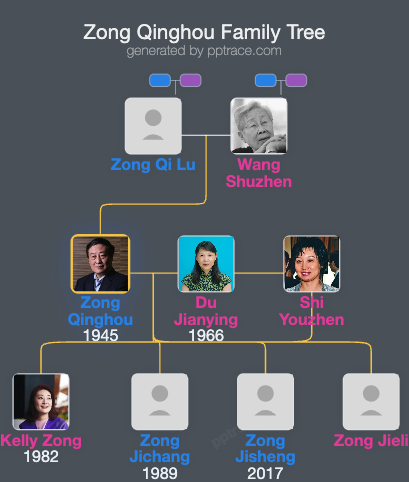 Zong Qinghou family tree overview