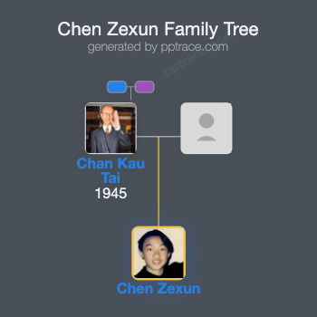 Chen Zexun family tree overview