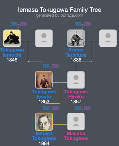 Iemasa Tokugawa family tree overview
