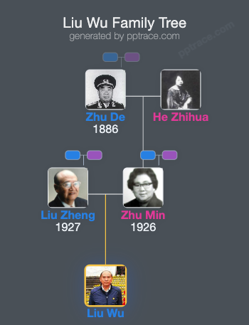 Liu Wu family tree overview