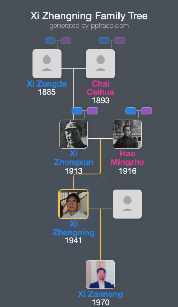 Xi Zhengning family tree overview
