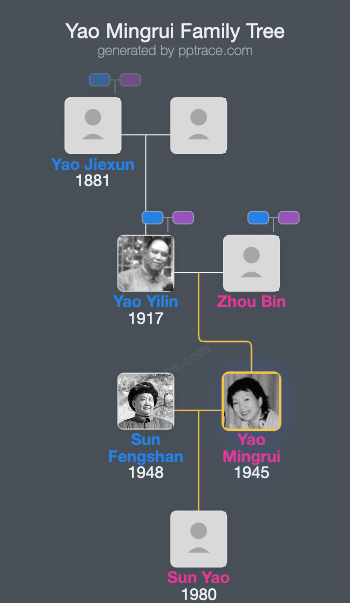 Yao Mingrui family tree overview