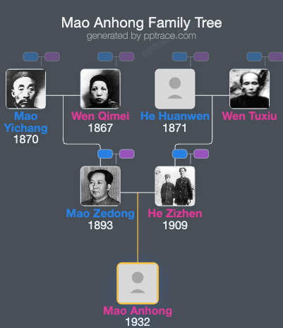 Mao Anhong family tree overview