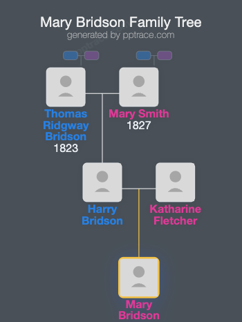 Mary Bridson family tree overview