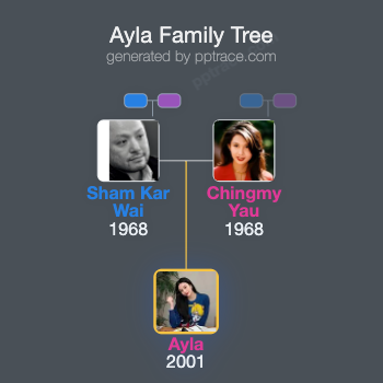Ayla family tree overview