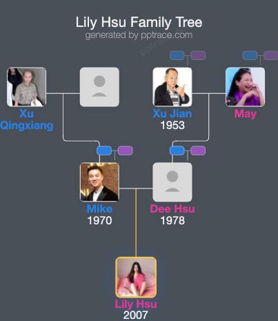 Lily Hsu family tree overview