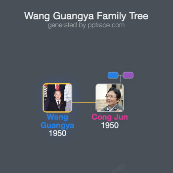 Wang Guangya family tree overview