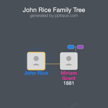 John Rice family tree overview