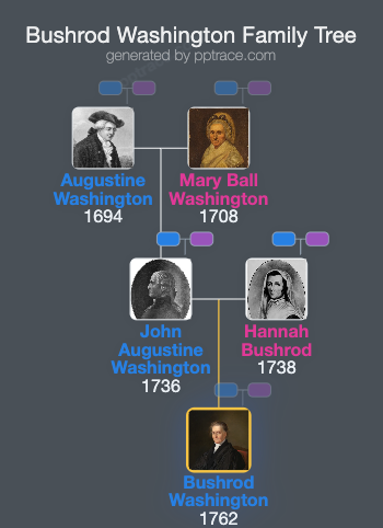 Bushrod Washington family tree overview