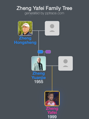 Zheng Yafei family tree overview