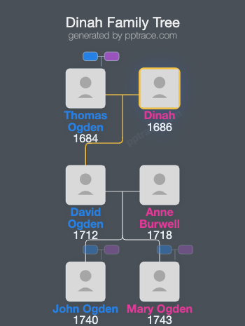 Dinah family tree overview
