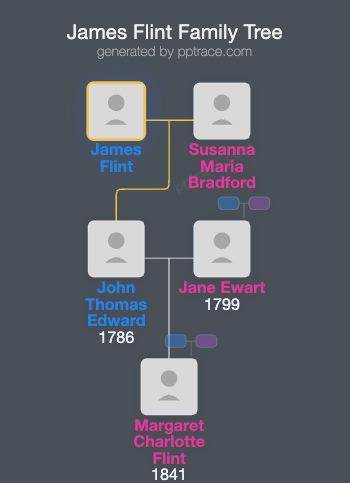 James Flint family tree overview