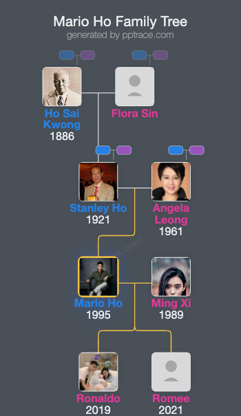 Mario Ho family tree overview