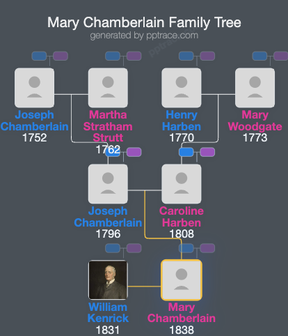 Mary Chamberlain family tree overview