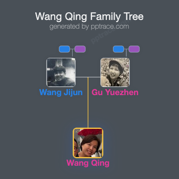 Wang Qing family tree overview