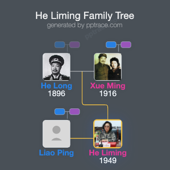 He Liming family tree overview