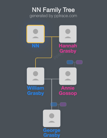 NN family tree overview
