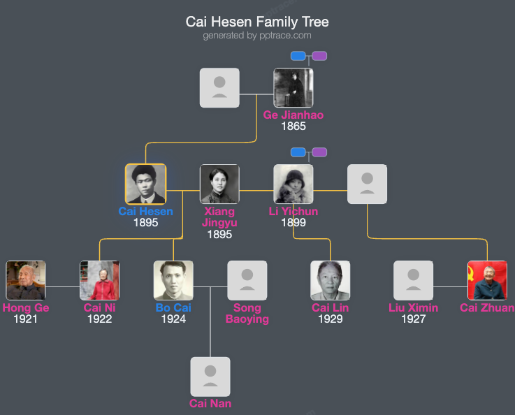 Cai Hesen family tree overview